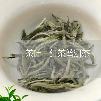 茶叶 红茶普洱茶/2023041004949